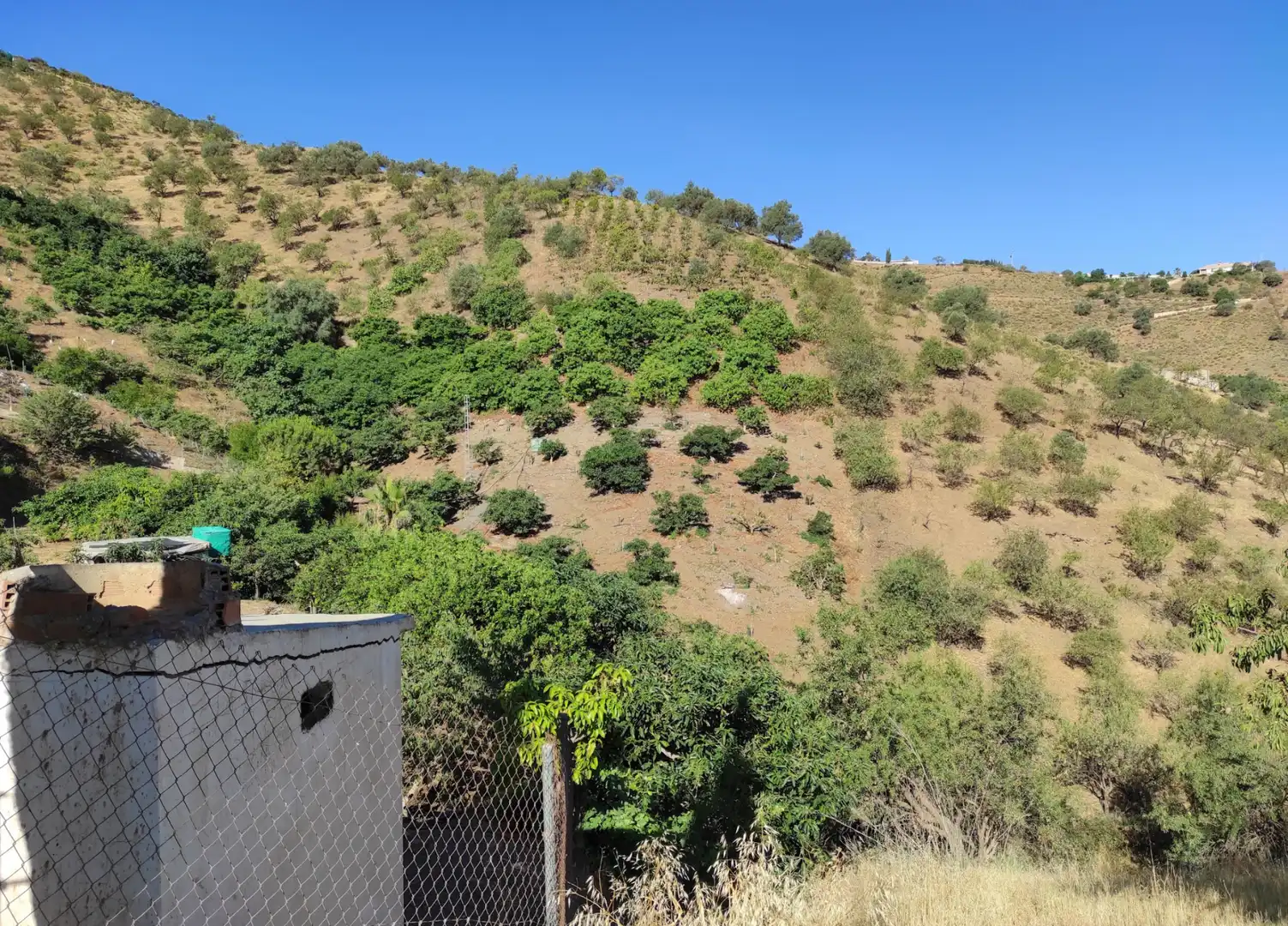 Finca rústica en venda en Canillas de Aceituno amb Jardí privat, Terrassa i Traster