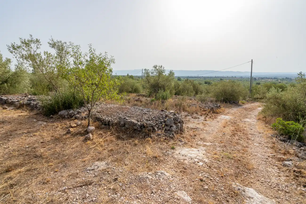 Land for sale in Roquetes