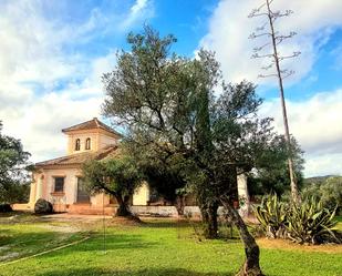 Exterior view of Country house for sale in El Pedroso  with Terrace