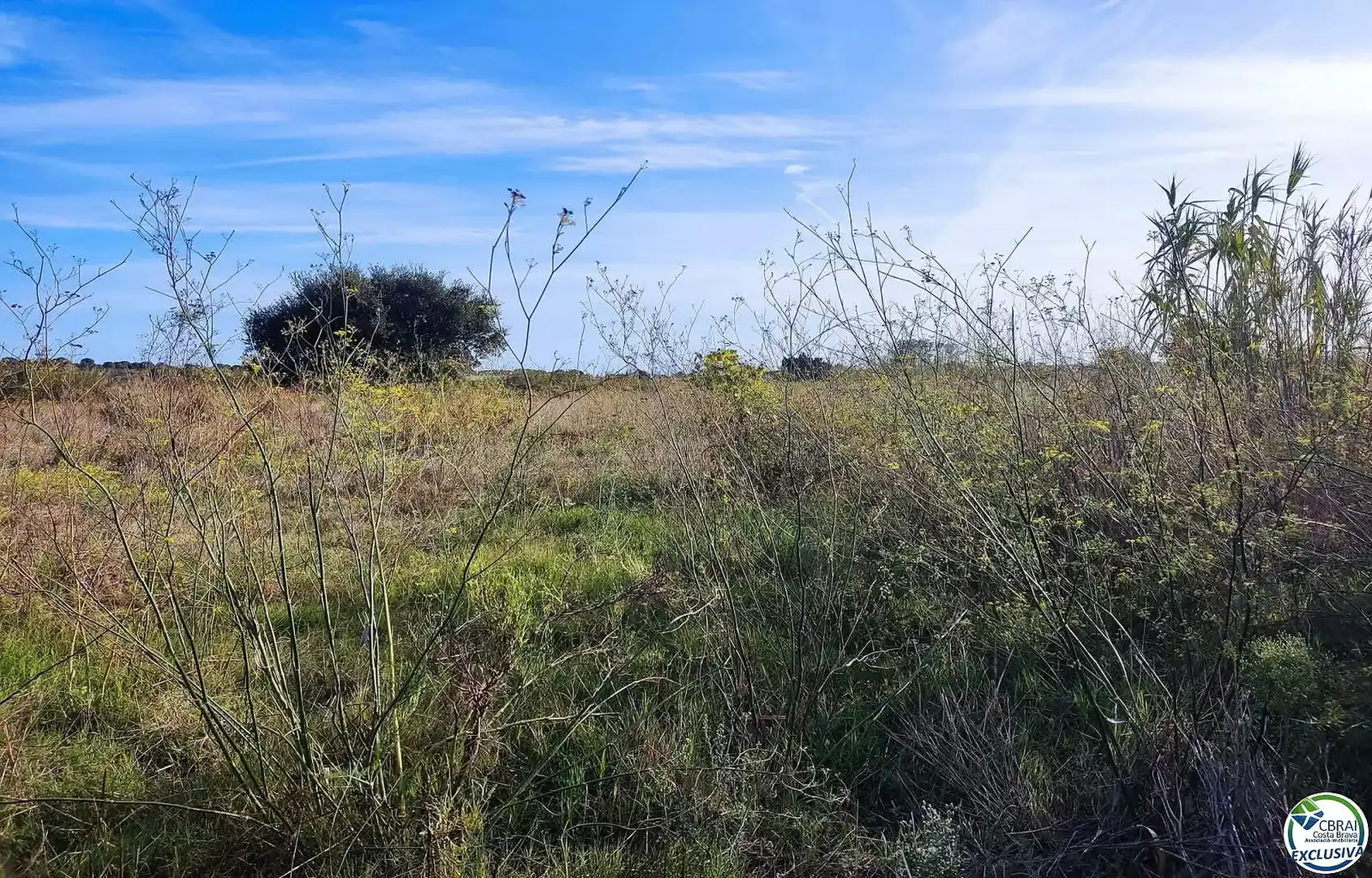 Residential land for sale in Carretera Vilamacolum 0, imagen 6
