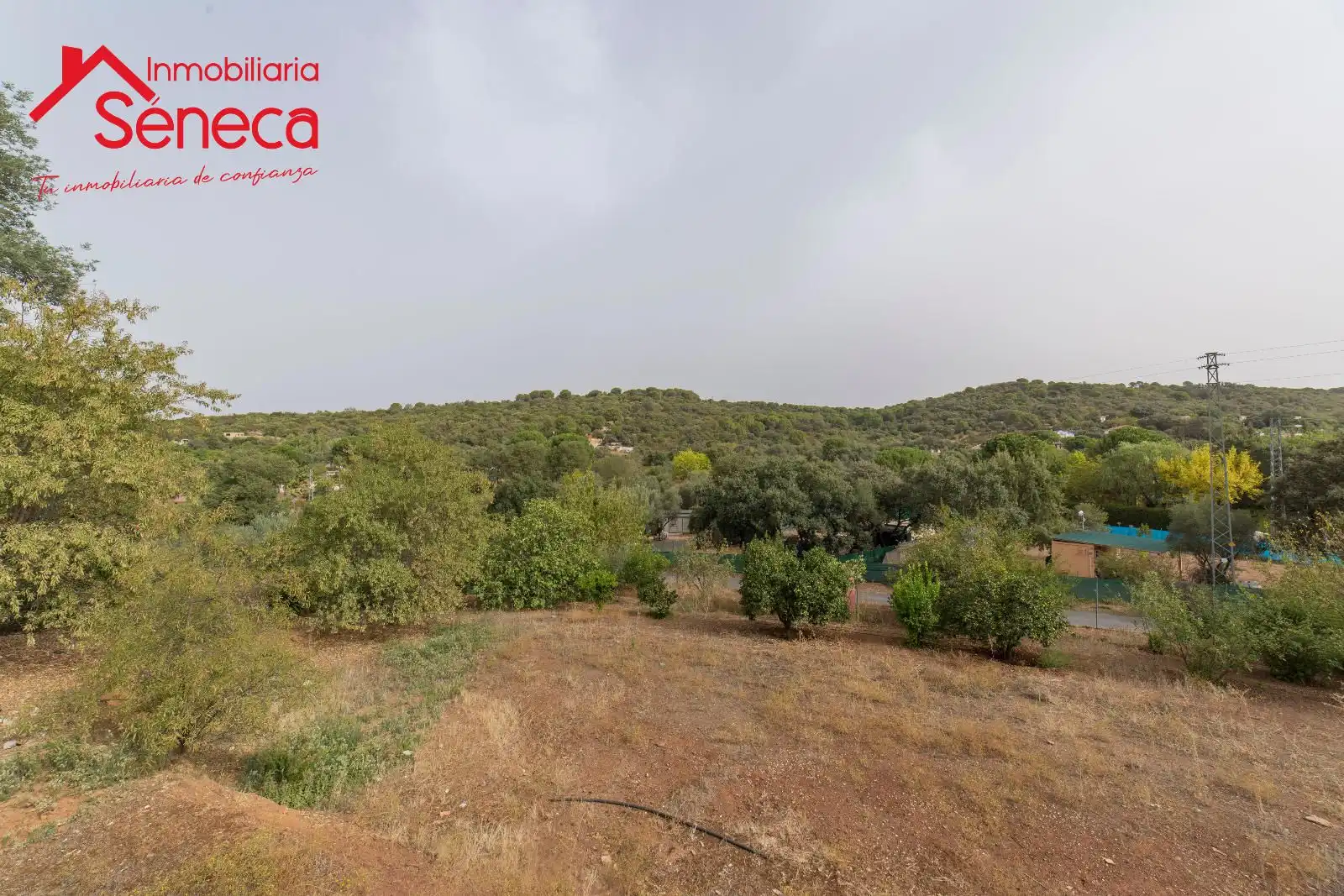 Casa o xalet en venda a Las Jaras
