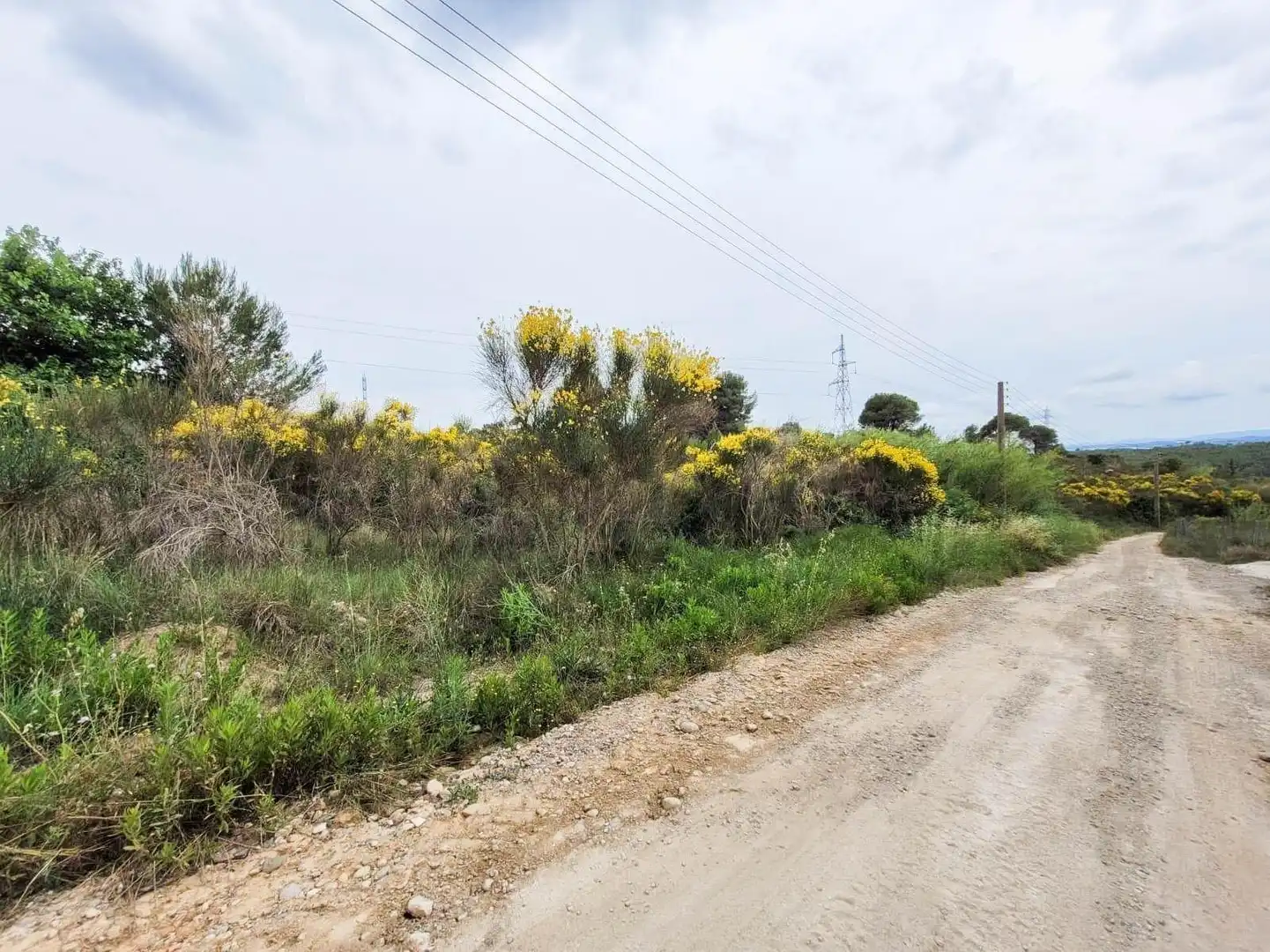 Terreno rústico en venta en Castellbisbal, imagen 8