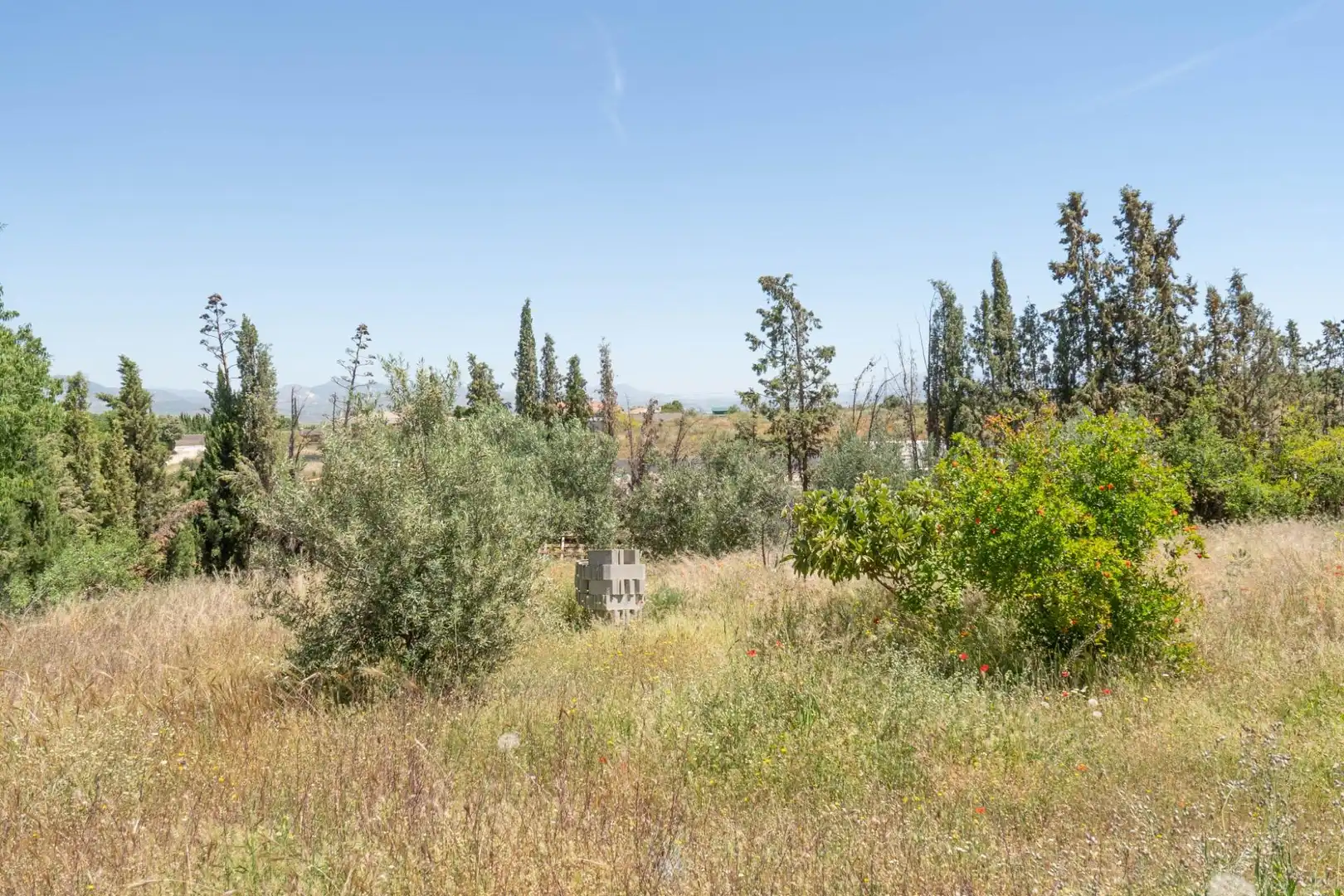 Casa o xalet en venda a Moraleda de Zafayona