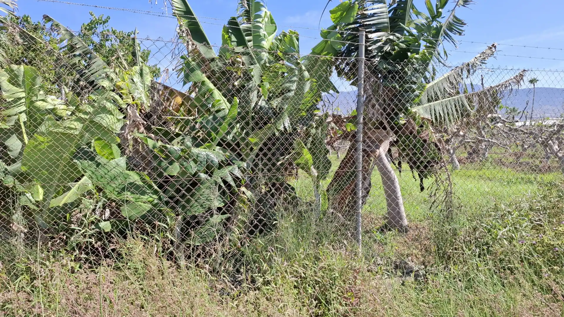 Land for sale in Torrenueva Costa