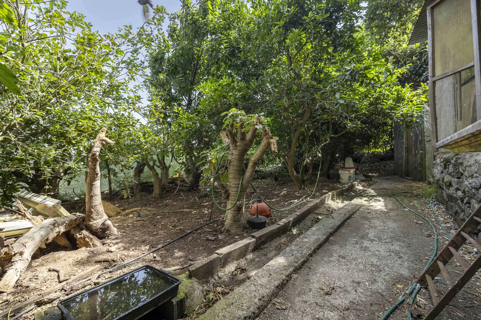 Rural land for sale in Tegueste, imagen 11