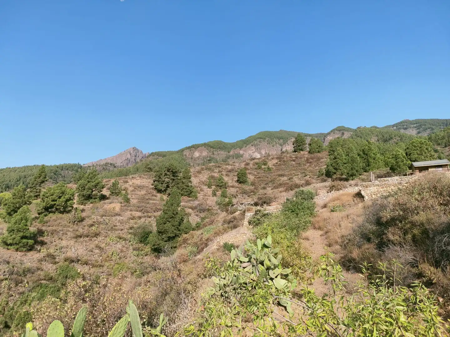 Rural land for sale in Arafo, imagen 6