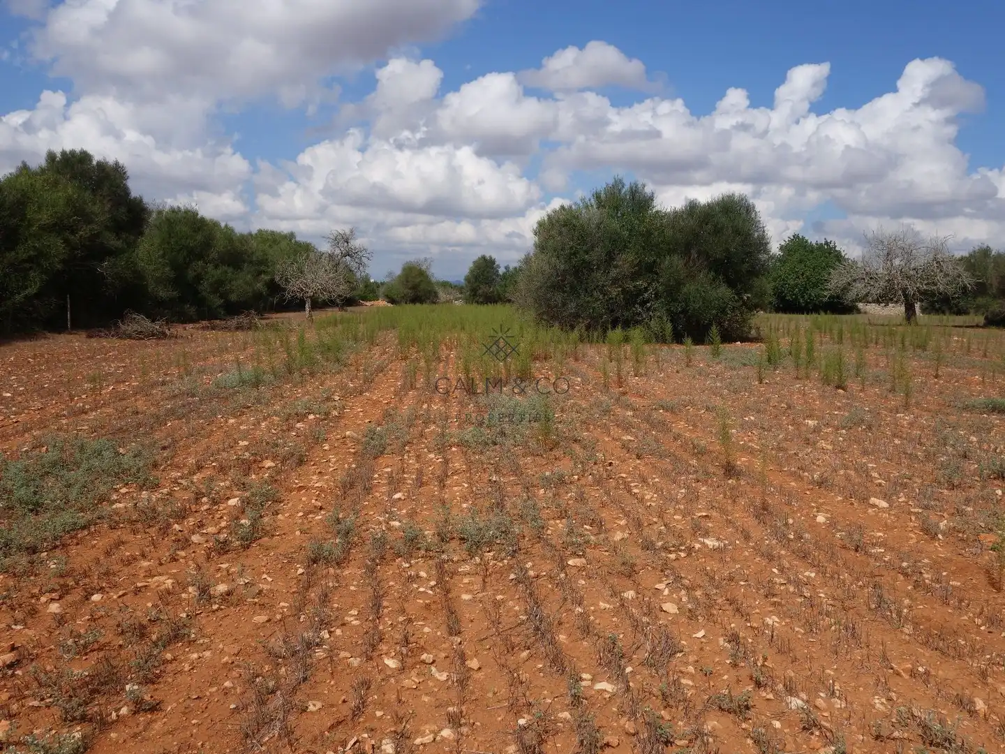 Residential land for sale in Felanitx Poble