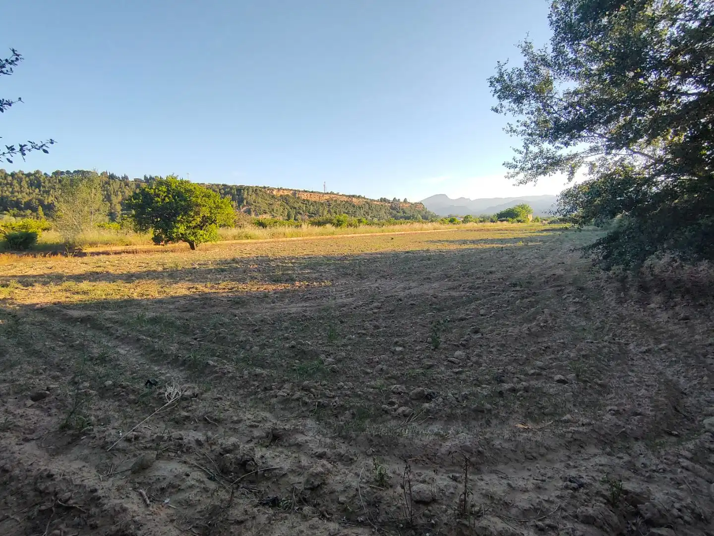 Land for sale in Xerta