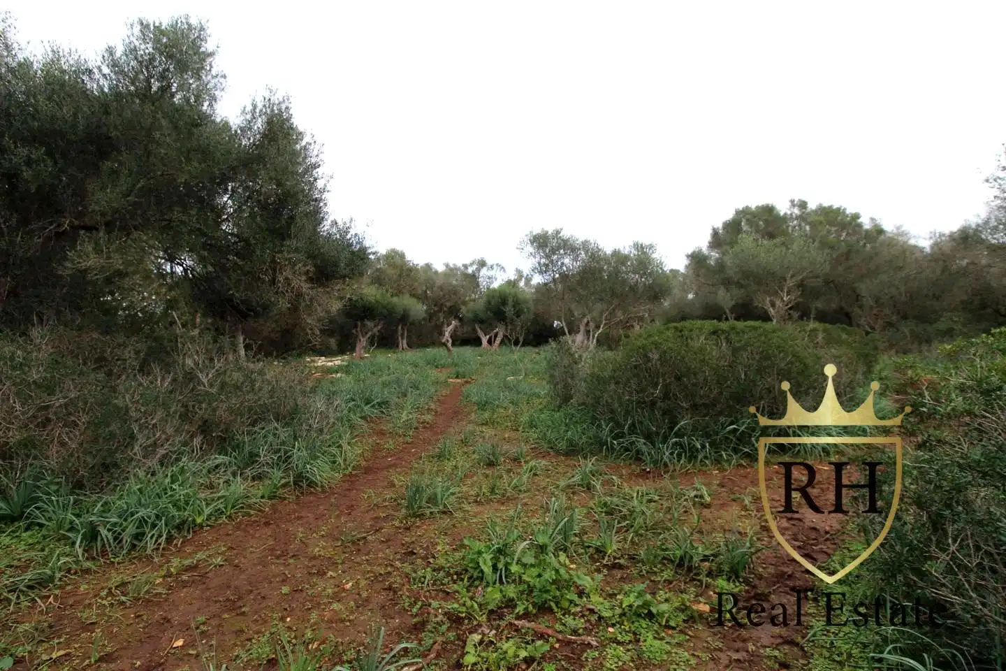 Lands and plots for sale in POLIGONO 49 PARCELA 3, imagen 21