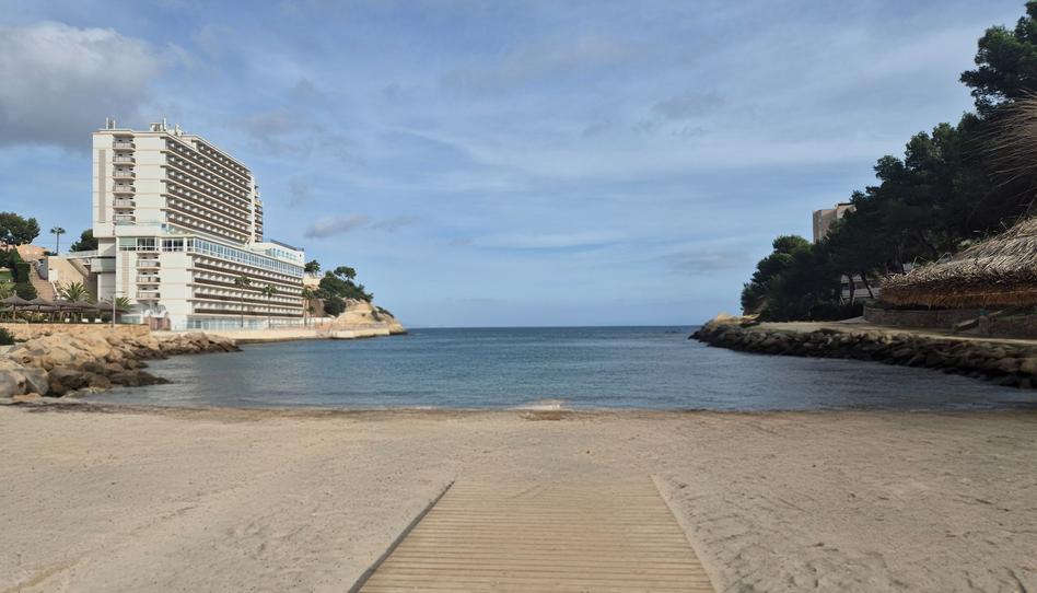 Photo 1 of Flat for sale in Sol de Mallorca, Illes Balears