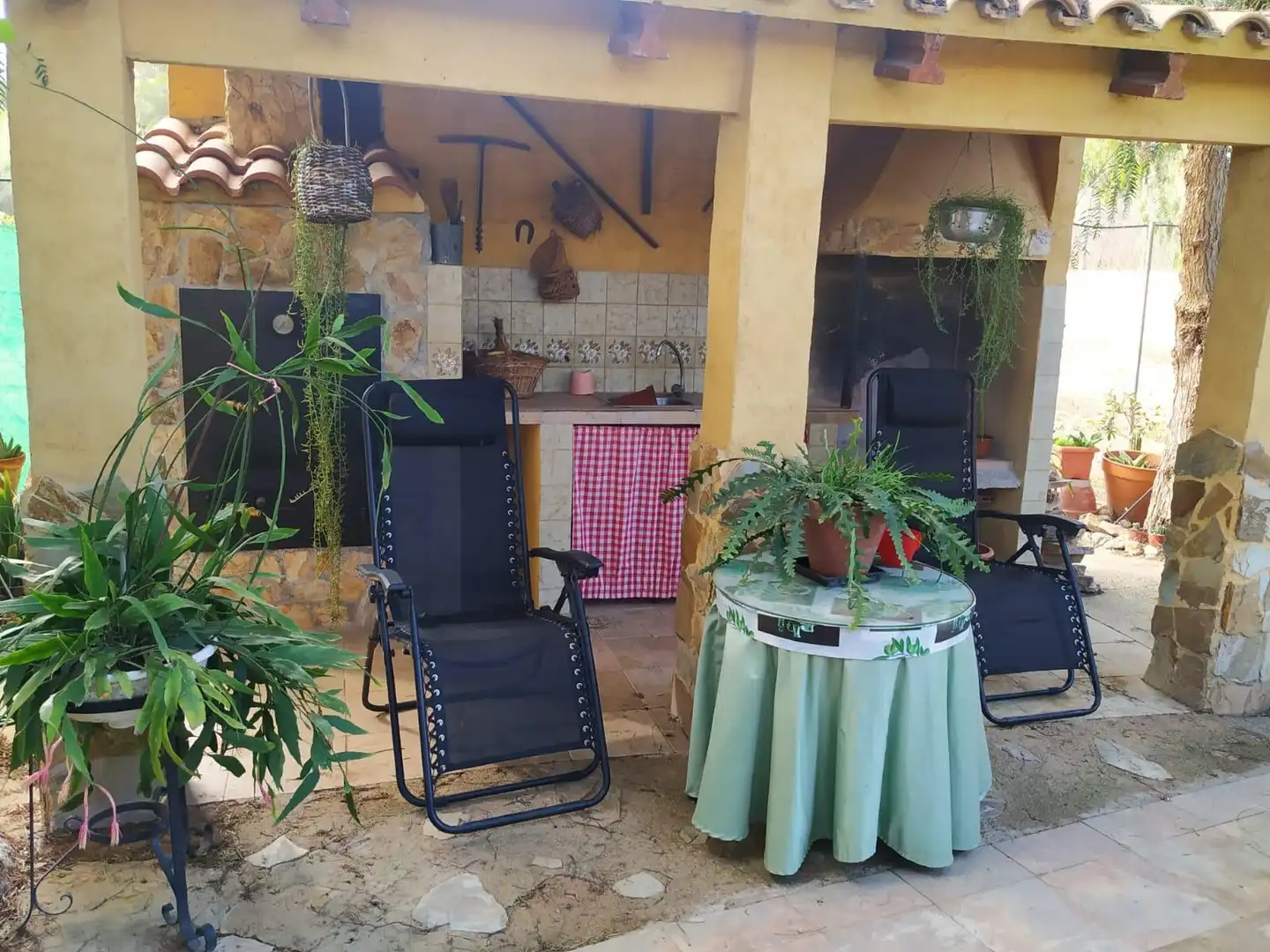 Garden of Houses for sale in Mula  with Terrace