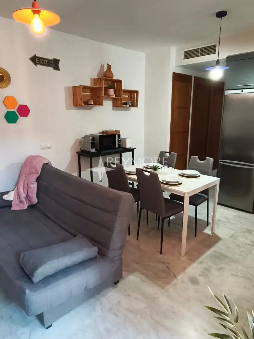 Sala d'estar de Dúplex de lloguer en Córdoba amb Aire condicionat, Calefacció i Moblat