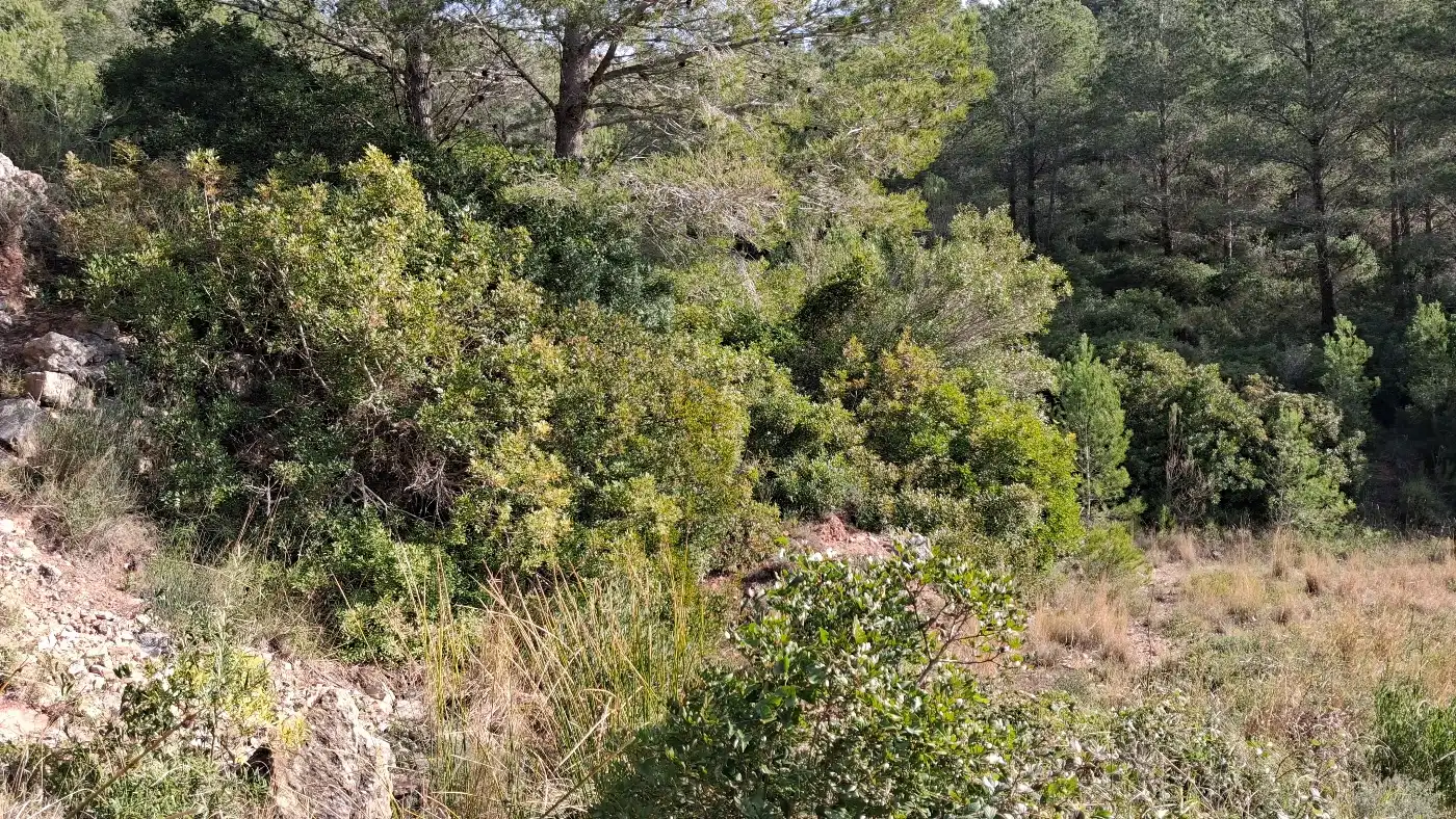 Terreno en venta en Pratdip