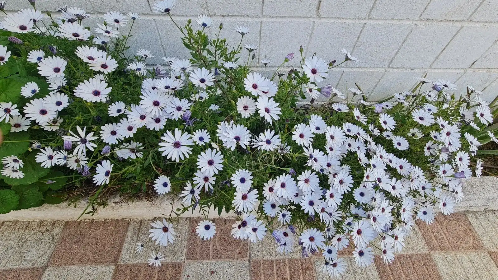 Jardín de Apartamento en venta en Lloret de Mar con Aire acondicionado, Calefacción y Amueblado