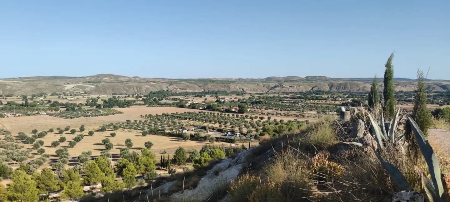 Casa o xalet en venda en Chinchón amb Jardí privat i Terrassa