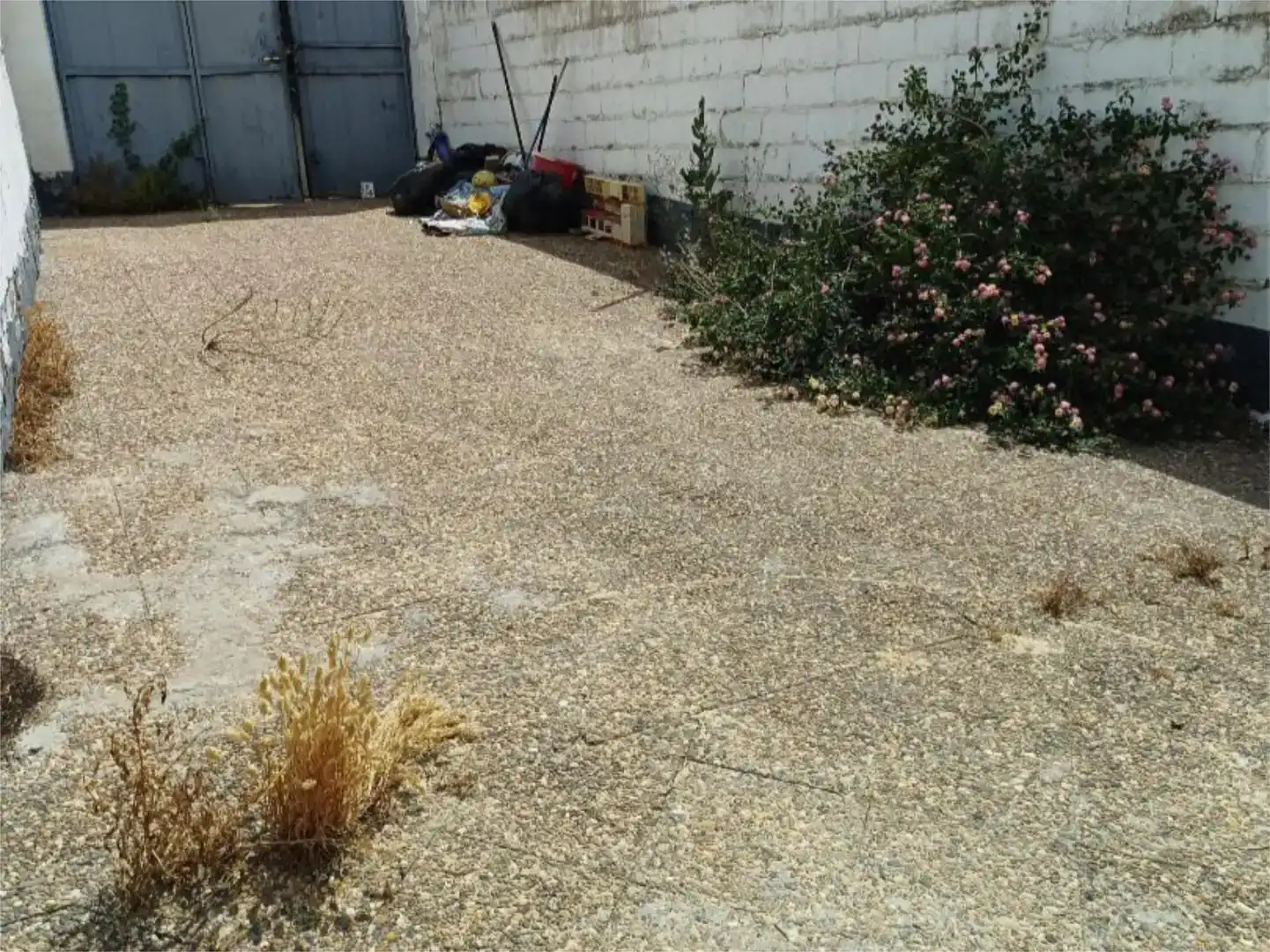 Garden of Land for sale in Alcalá del Río