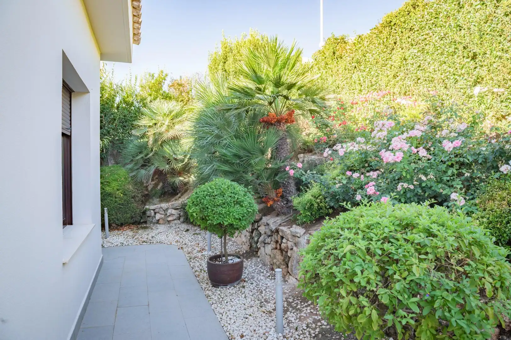 Garden of Houses for sale in Centro
