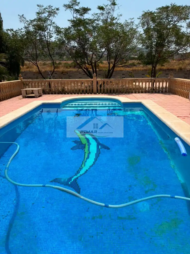 Piscina de Casa o xalet en venda en Aspe amb Calefacció, Piscina i Moblat