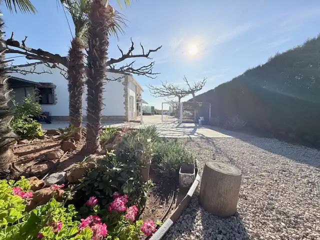 Vista exterior de Finca rústica en venda en Cabanes amb Jardí privat, Terrassa i Piscina