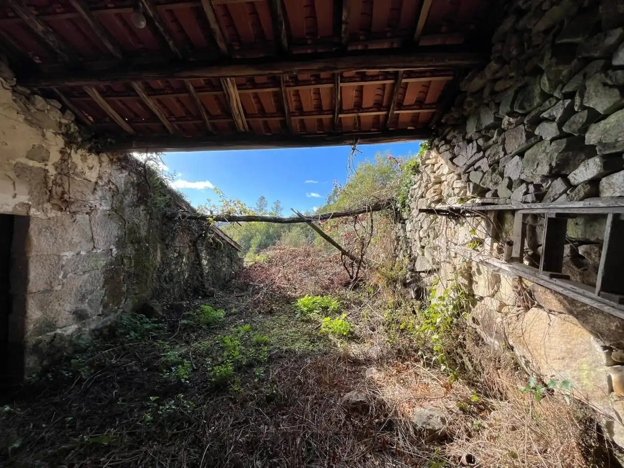 Casa o chalet en venta en San Rosendo