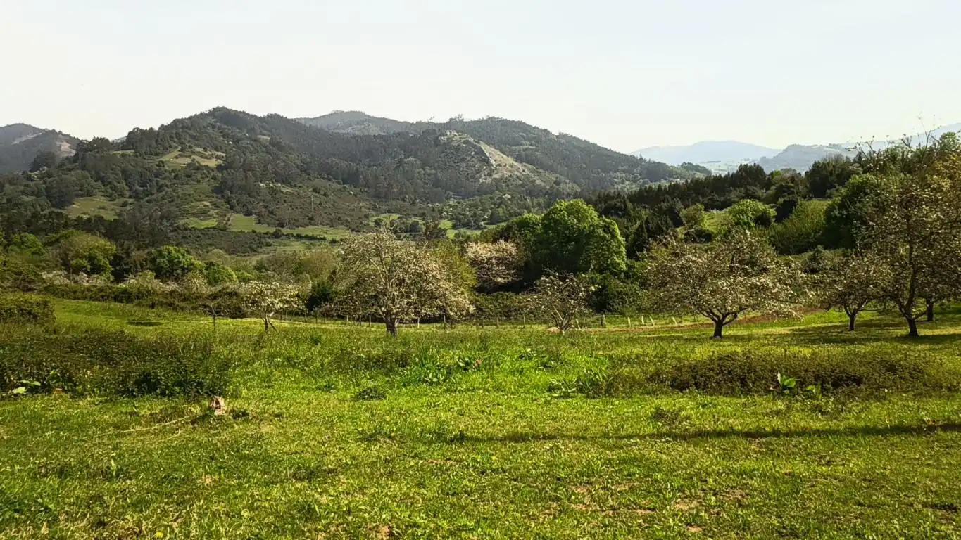 Terreno residencial en venta en AS-39, imagen 3