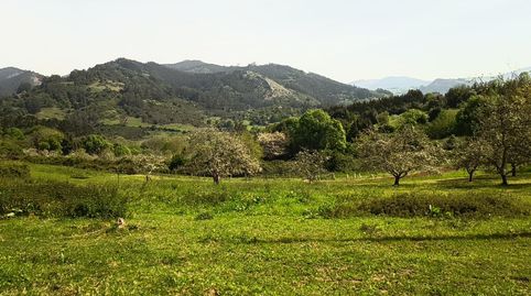 San Tirso (Candamo) finca edificable para una casa o dos adosadas, 33.000, imagen 3