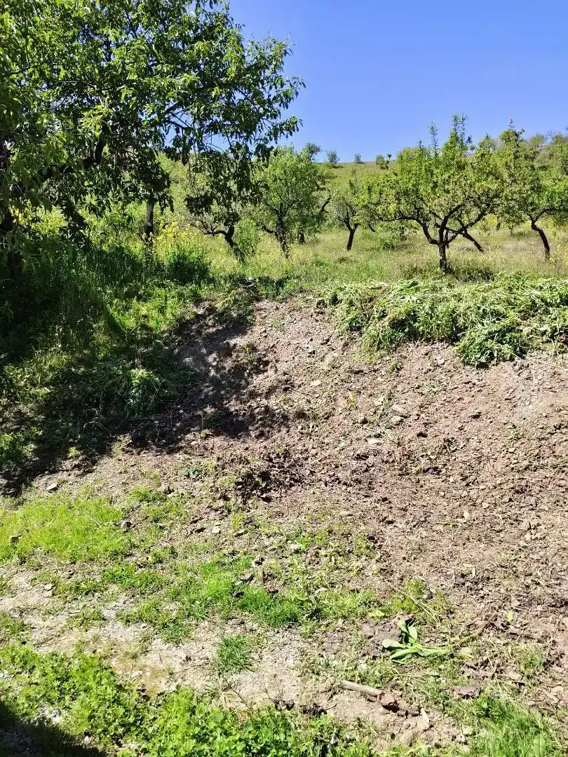 Finca rústica en venta en Albondón con Jardín privado, Trastero y Amueblado