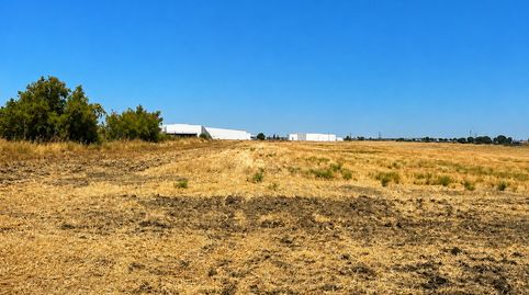 Foto 4 de Terreny en venda a Carretera de Sevilla, Guillena pueblo, Guillena