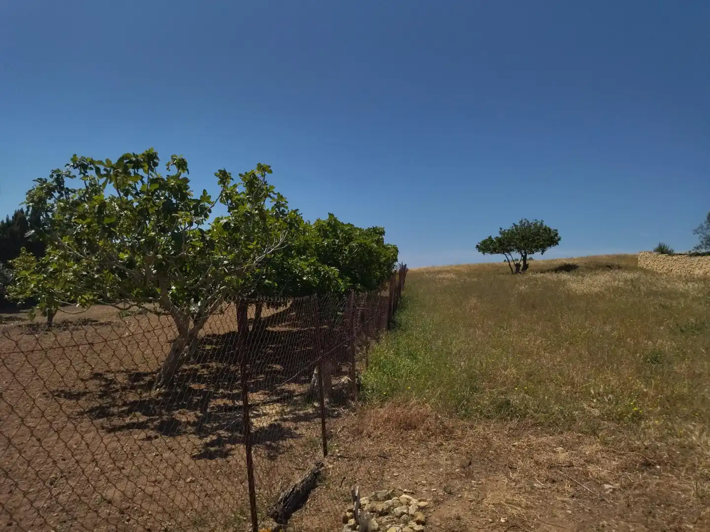 Casa rustica con giardino in vendita a Vejer, imagen 34