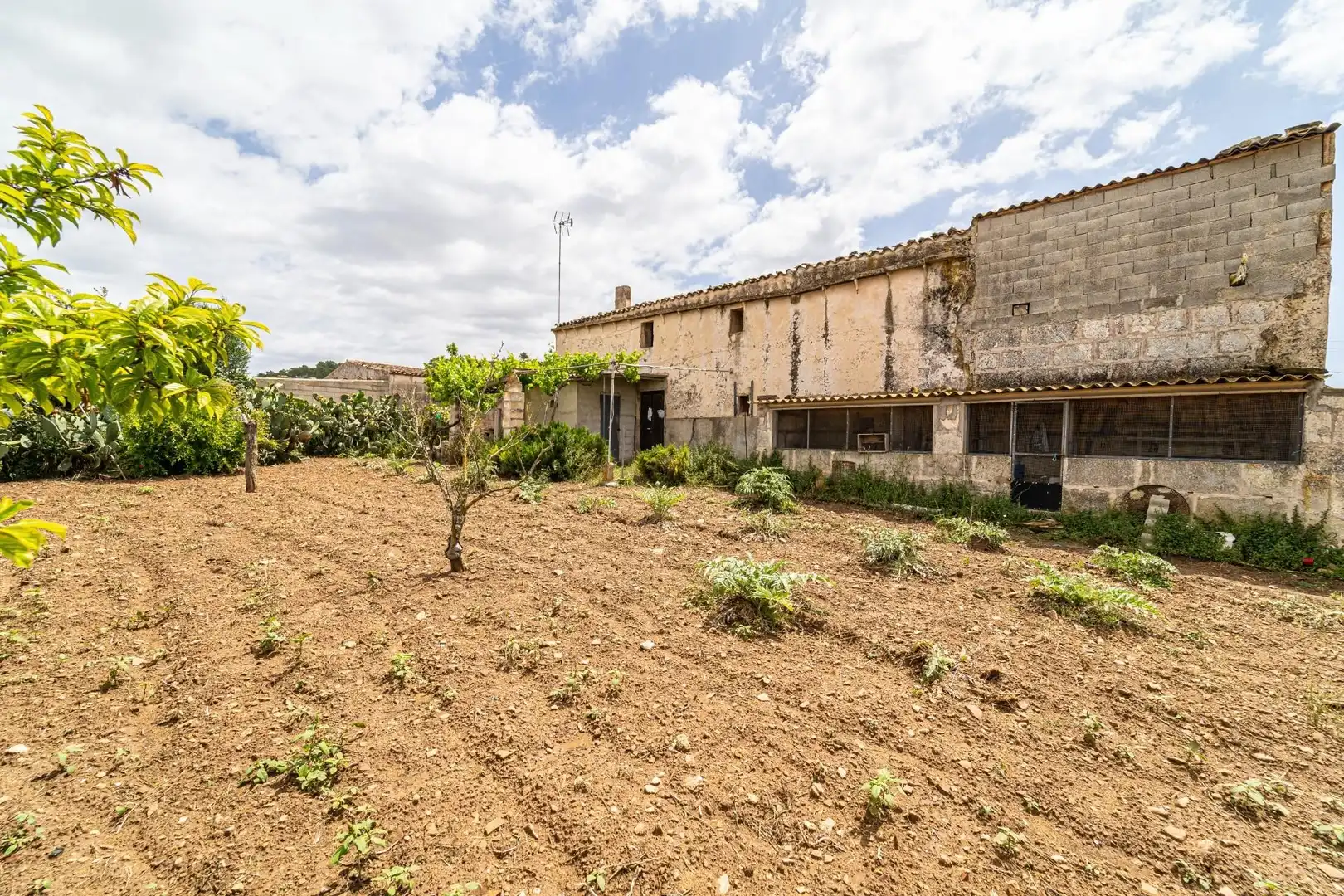 Casa rústica en venta en Manacor Centre, imagen 23