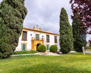Vista exterior de Finca rústica en venda en Morón de la Frontera amb Aire condicionat, Calefacció i Jardí privat