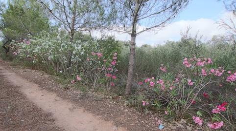 Foto 2 de Terreno en venta en Llubí, Illes Balears