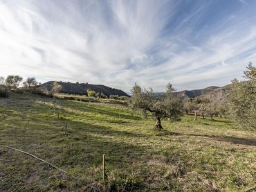 Terreno rustico in vendita a Barrio de la Vega