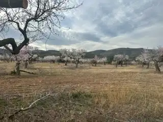 Finca rústica en venda en Les Coves de Vinromà amb Moblat