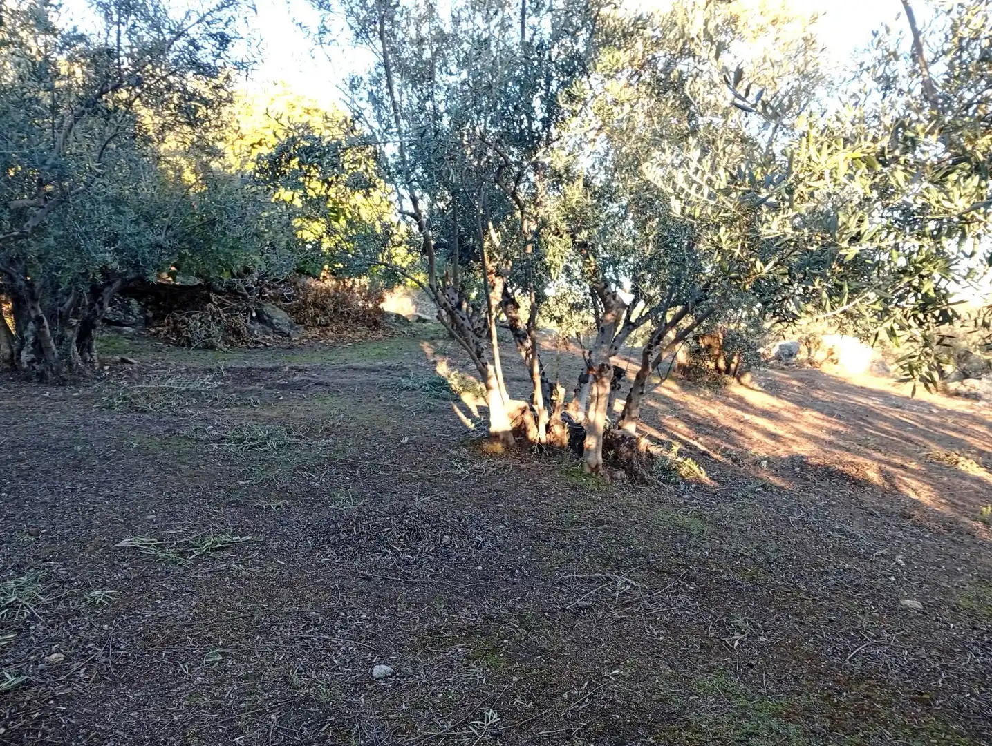 Terreni e lotti in vendita a Villanueva de la Vera, imagen 60
