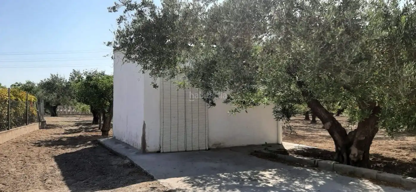 Terrain rustique à vendre à Carrer de l'Alcalde Paco Montes 43, imagen 12