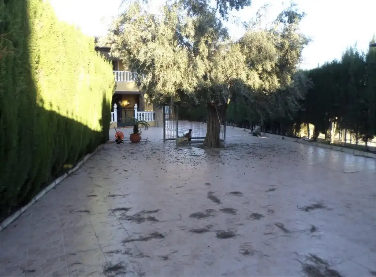 Villa avec piscine à vendre à Montepinar - La Aparecida - Raiguero, imagen 5