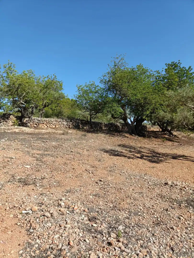 Residencial en venda en L'Ametlla de Mar 