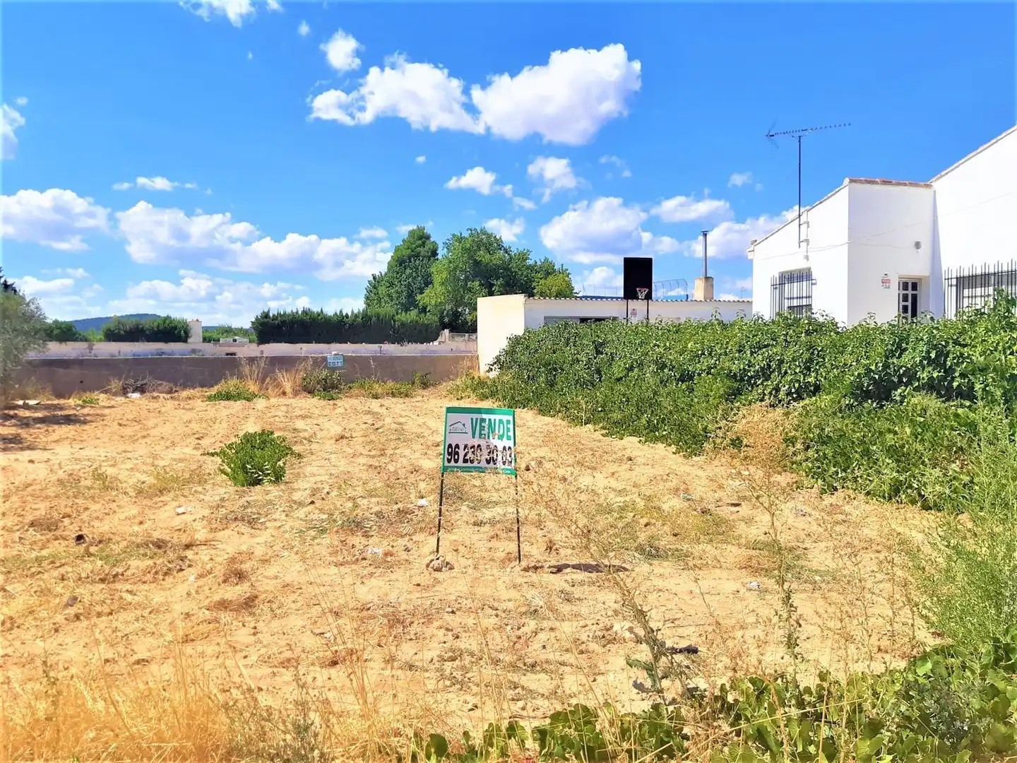 Wohnbaugrundstück zum Verkauf in Carretera Caudete - Los Corrales 2, imagen 5