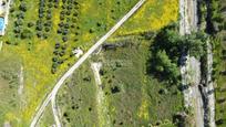 Land for sale in Vélez de Benaudalla