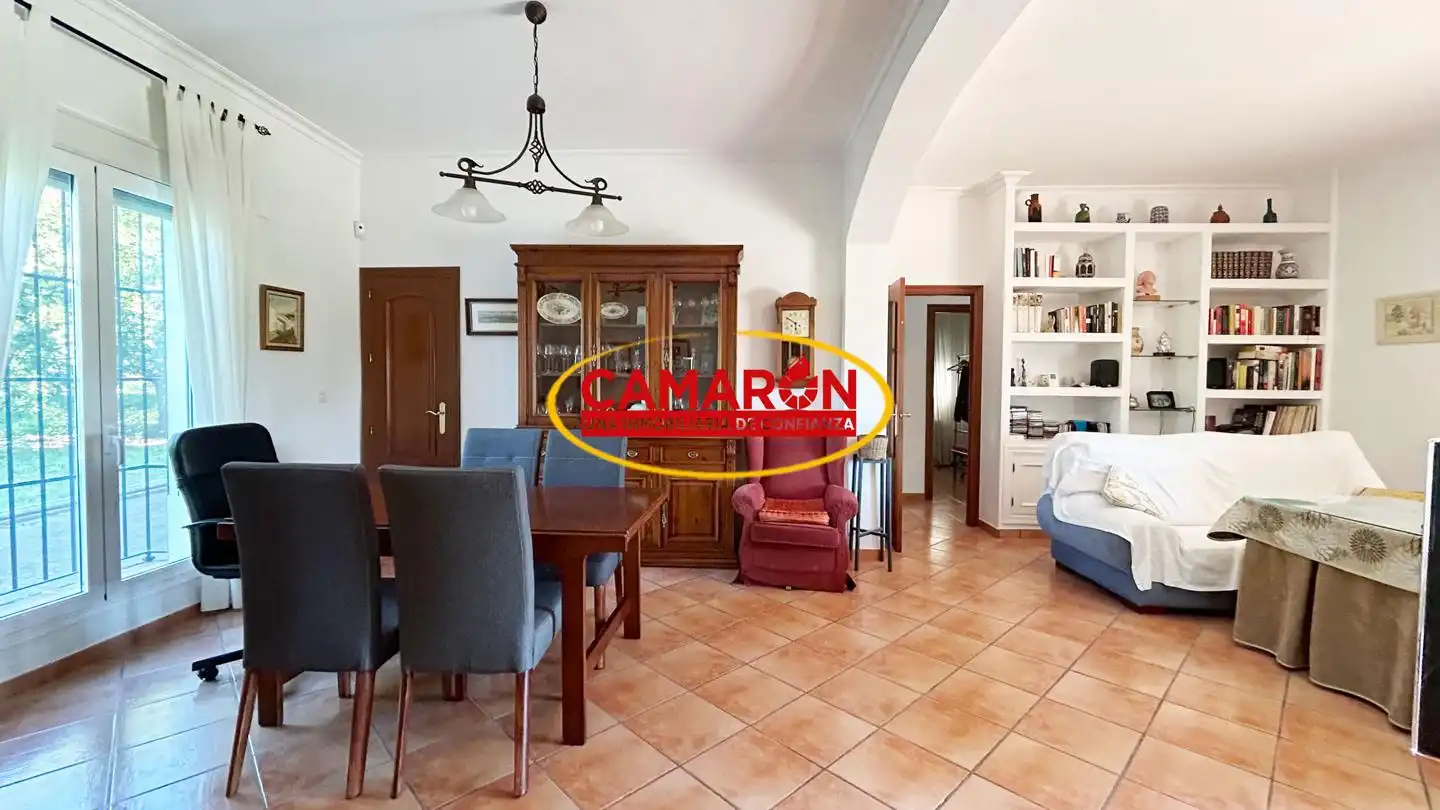 Sala d'estar de Finca rústica en venda en Coria del Río amb Jardí privat i Piscina