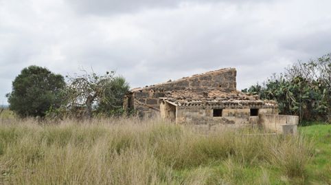 Casa de campo para reformar en Muro., imagen 4
