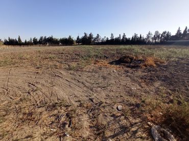 Terreno residencial en venta en Chipiona Norte