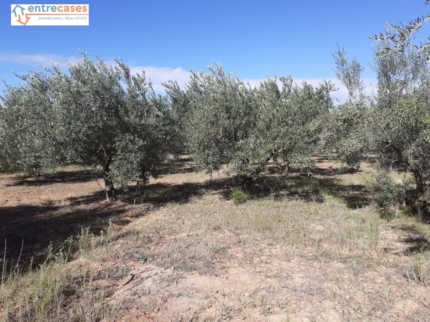 Terreno rustico in vendita a Segorbe, imagen 17