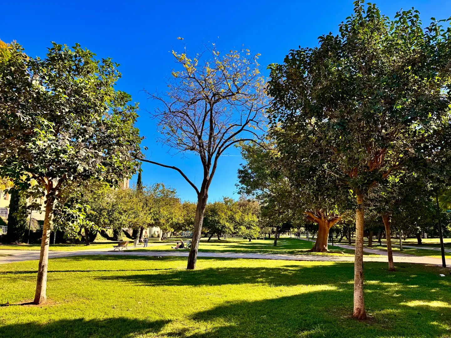 Vista exterior de Edificio en venta en Valencia
