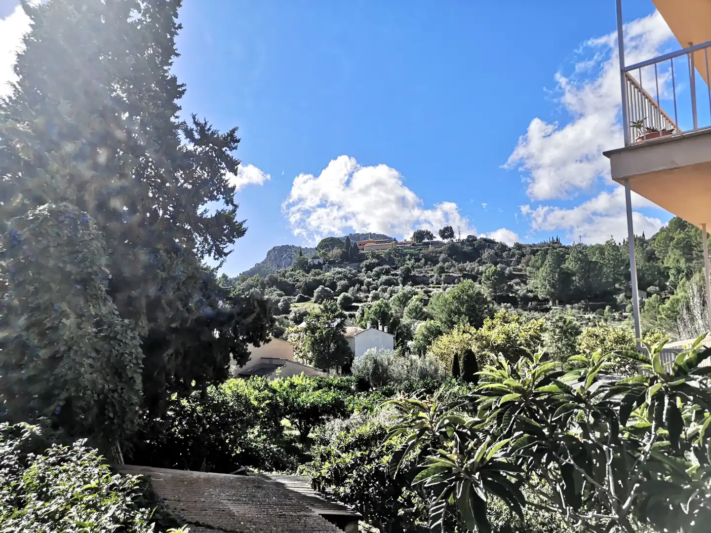 Jardí de Casa o xalet en venda en Puigpunyent amb Jardí privat, Moblat i Forn
