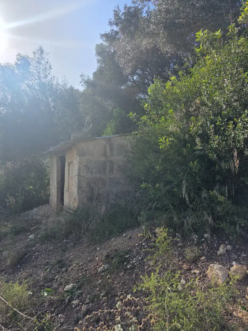 Rustikales Grundstück zum Verkauf in Camí de Son Dalmau 2, imagen 7