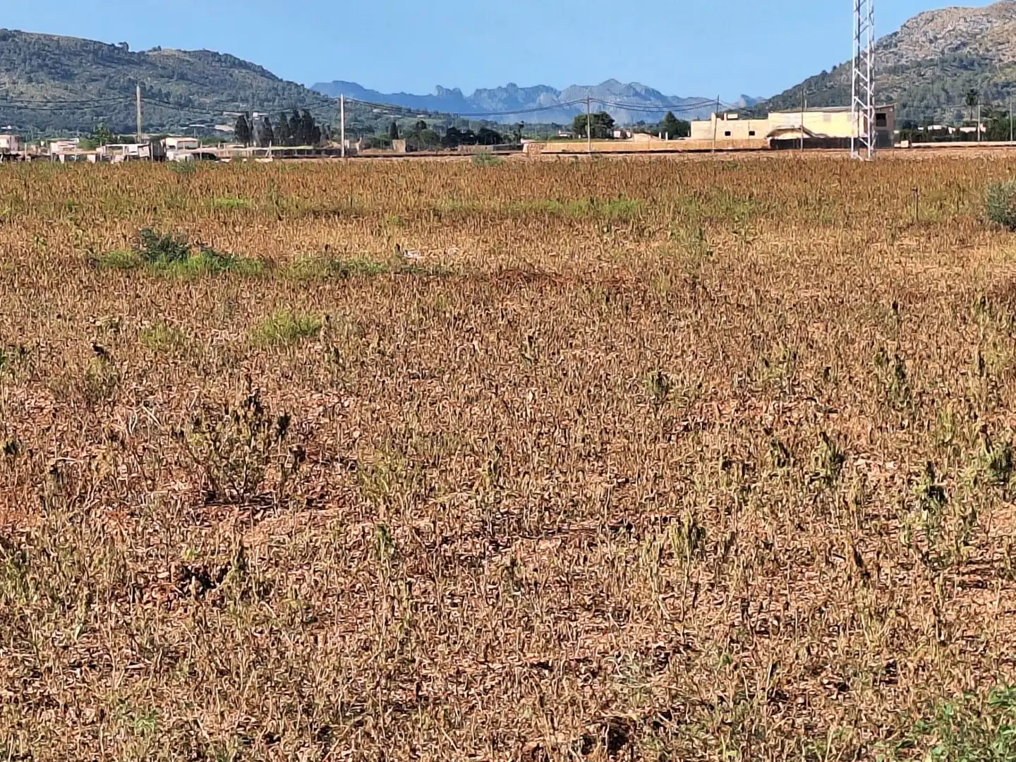 Grundstücke zum Verkauf in Sa Pobla