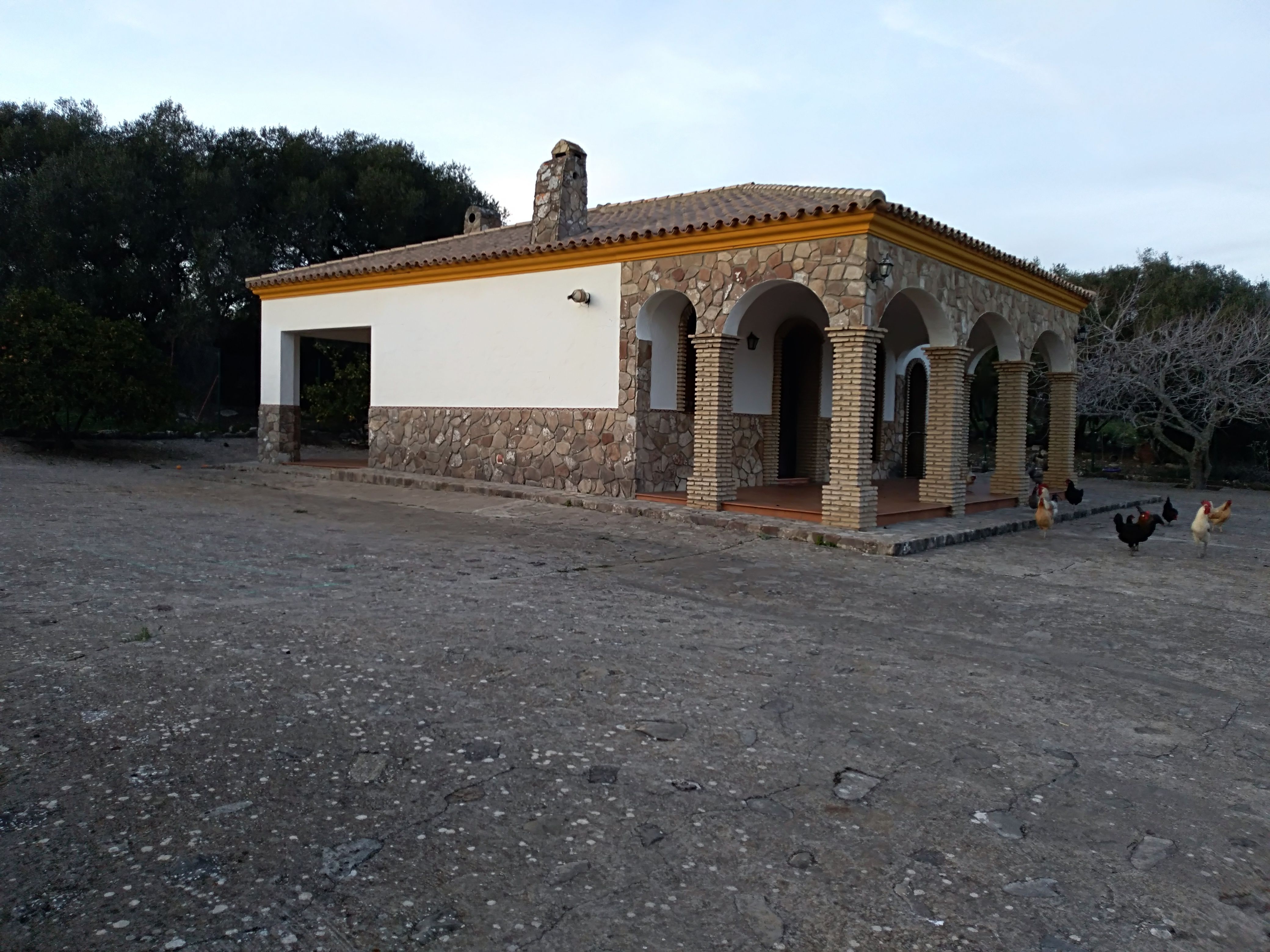 Exterior view of Country house for sale in Benalup-Casas Viejas  with Heating, Terrace and Storage room