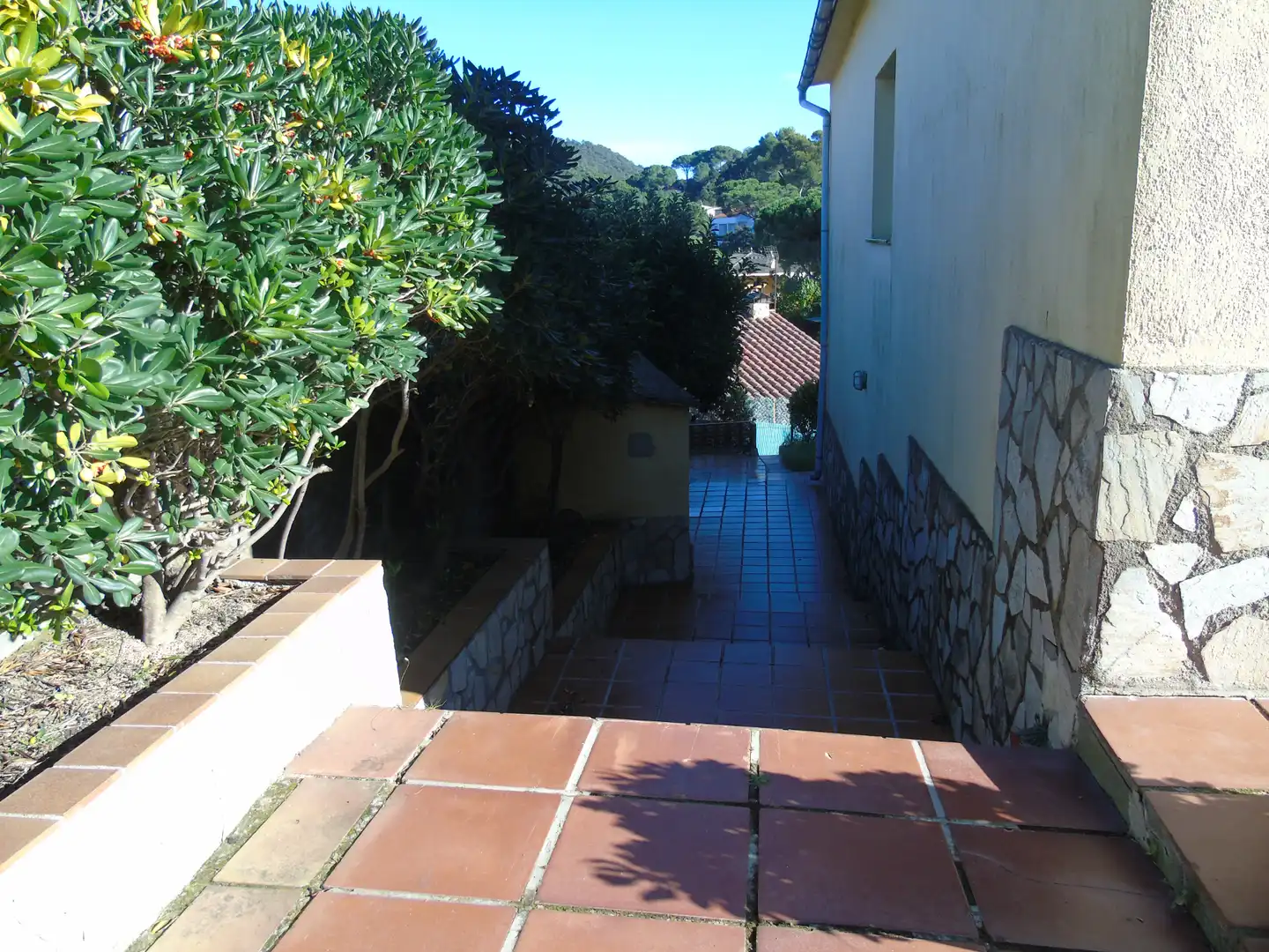 Casa in vendita a Mas Mora - Sant Daniel, imagen 3
